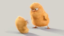 Hop