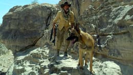 Desierto