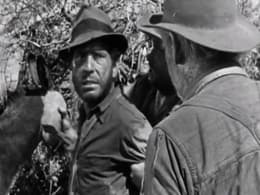 The Treasure of the Sierra Madre