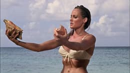 Dr. No