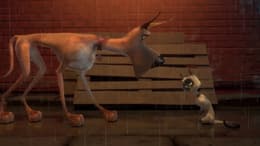 Marmaduke