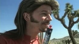 Joe Dirt