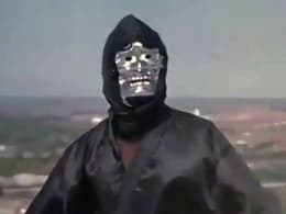 Revenge of the Ninja