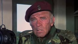 The Wild Geese