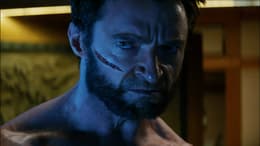 The Wolverine