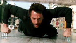 The Wolverine