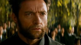 The Wolverine