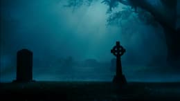 Cirque du Freak: El aprendiz de vampiro