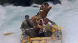 Yogi Bear