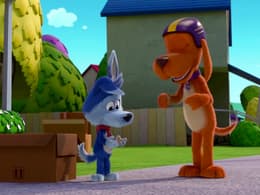 Go, Dog. Go!