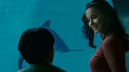 Dolphin Tale