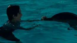 Dolphin Tale
