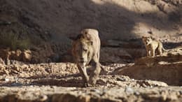The Lion King
