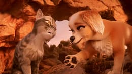 Gracie and Pedro: Pets to the Rescue