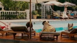 Beverly Hills Chihuahua