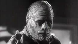 The Mummy's Tomb