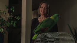 A Bird of the Air