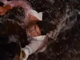 Piranha 3D