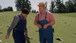 The Three Stooges