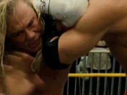 The Wrestler