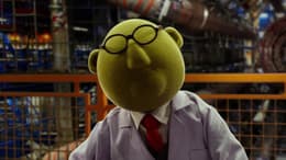 The Muppets