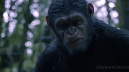 Dawn of the Planet of the Apes
