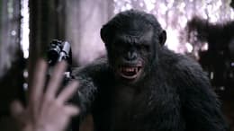Dawn of the Planet of the Apes
