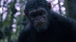 Dawn of the Planet of the Apes