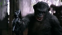 Dawn of the Planet of the Apes