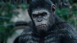 Dawn of the Planet of the Apes