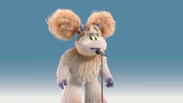 Smallfoot