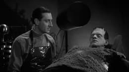 Son of Frankenstein