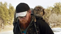 Cat Daddies