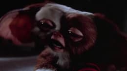 Gremlins 2: The New Batch