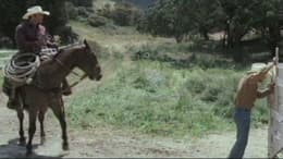 Flicka