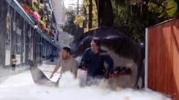 Big Shark