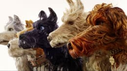 Isle of Dogs