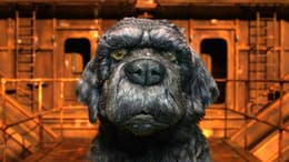 Isle of Dogs
