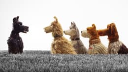 Isle of Dogs