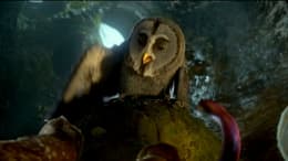 Ga'hoole: La leyenda de los Guardianes