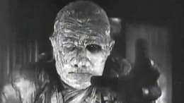 The Mummy's Ghost