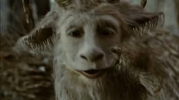 Where the Wild Things Are