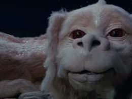 The NeverEnding Story