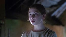 The Wonder