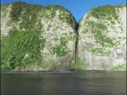 Wild Pacific