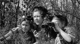 The Belles of St. Trinian's