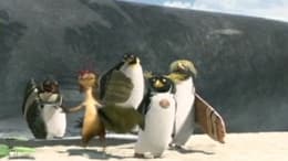 Surf's Up