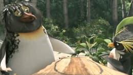 Surf's Up