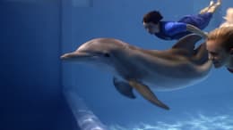 Dolphin Tale 2