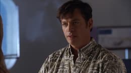 Dolphin Tale 2